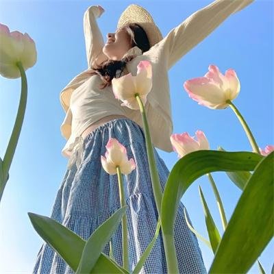 藤本树