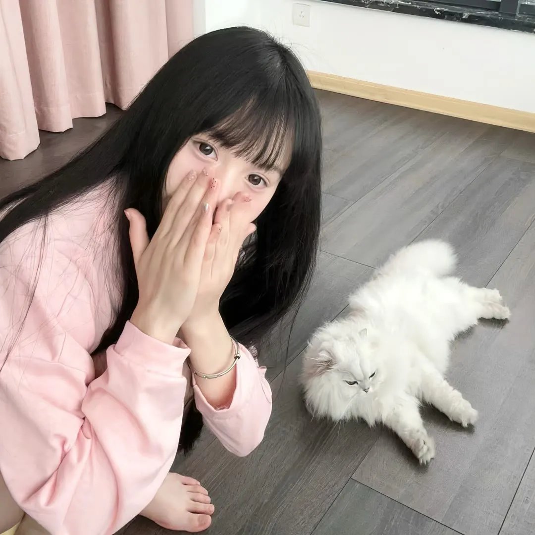 熊猫计划之部落奇遇记